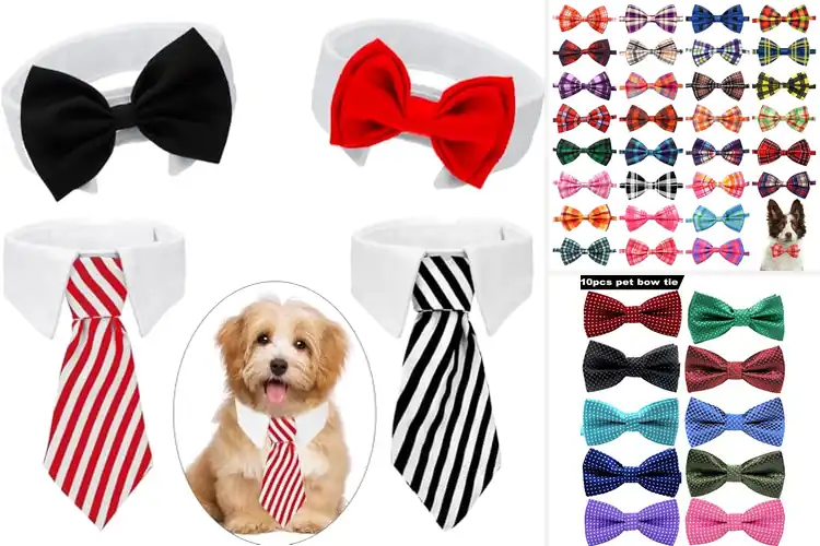 Detailed view of Best Adjustable Bow Tie For Pets: 10 Stylish & Comfy Picks