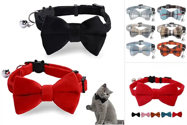 Detailed view of Best Adjustable Bow Ties For Cats