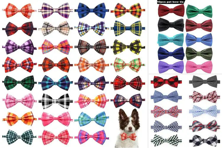 Detailed view of Best Adjustable Bow Ties For Pets: 10 Stylish & Comfy Picks