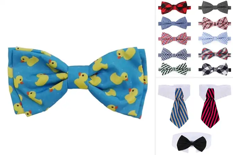 Detailed view of Best Adjustable Bow Ties For Small Dogs And Cats