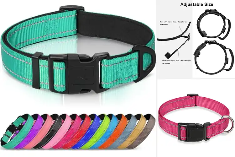 Detailed view of Best Adjustable Dog Collars for Safe, Comfy Walks