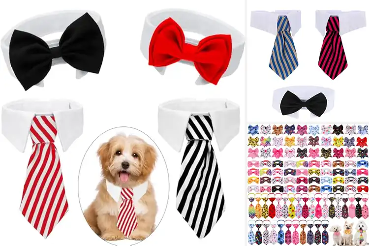 Detailed view of Best Adjustable Pet Bow Ties: 10 Top Picks for a Dapper Pet