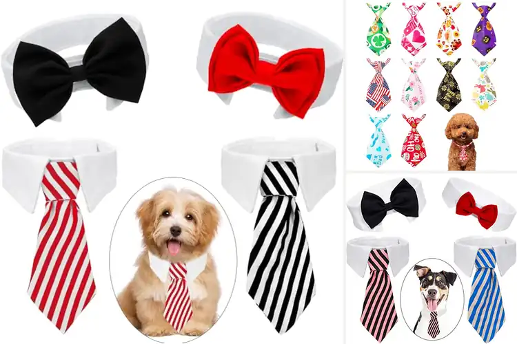 Detailed view of Best Adjustable Pet Neckties