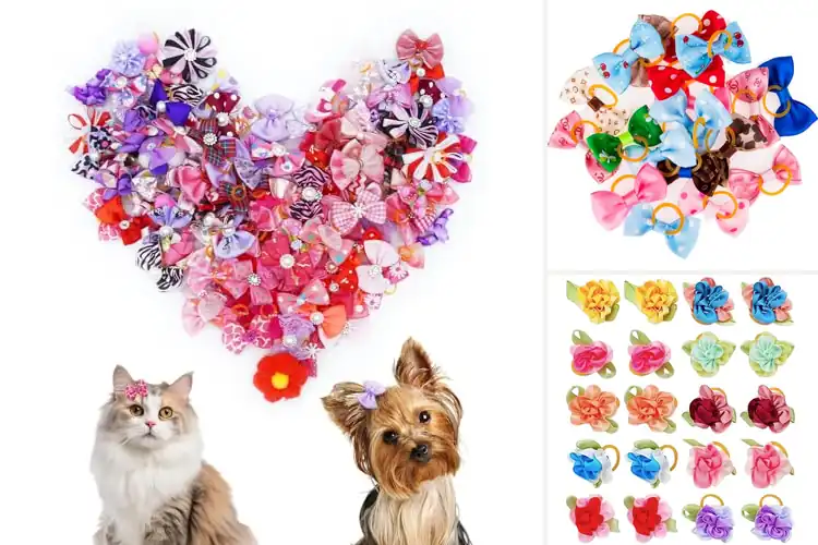 Detailed view of Best Assorted Pet Accessories