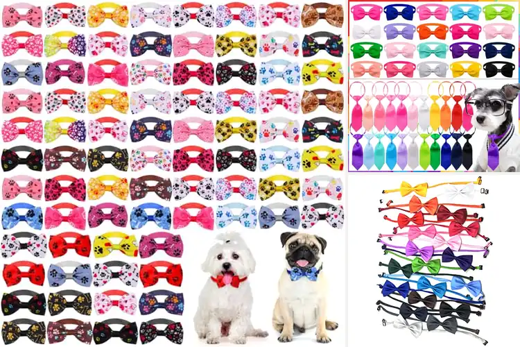 Detailed view of Best Assorted Pet Bowties: 10 Styles to Make Your Pet Shine