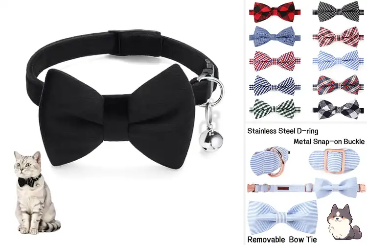 Detailed view of Best Bow Tie Collars For Small Dogs And Cats