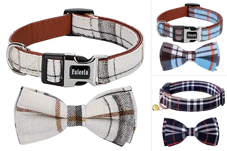Detailed view of Best Bow Tie Collars