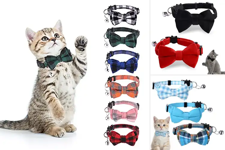 Detailed view of Best Bow Ties For Cats