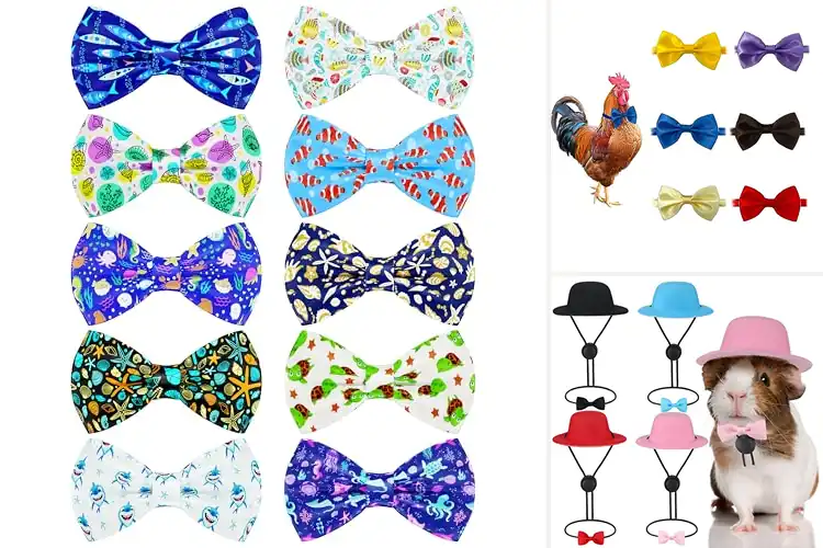 Detailed view of Best Bow Ties For Small Animals