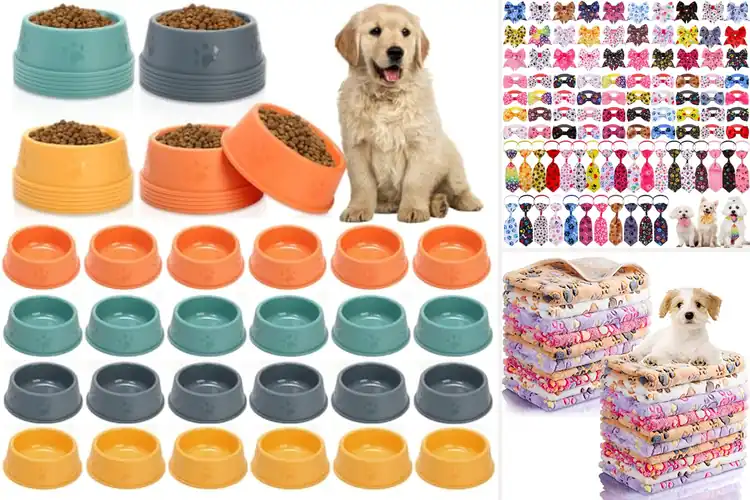 Detailed view of Best Bulk Pet Supplies