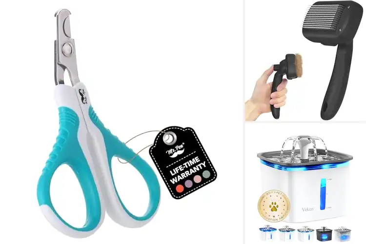 Detailed view of Best Cat Accessories: Top 10 Picks for Happy, Healthy Cats