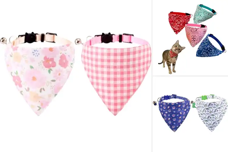 Detailed view of Best Cat Bandanas