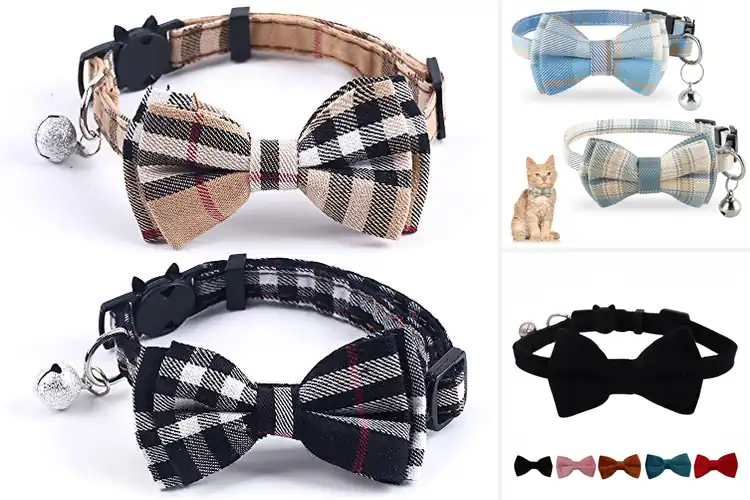 Detailed view of Best Cat Bow Ties For Kittens