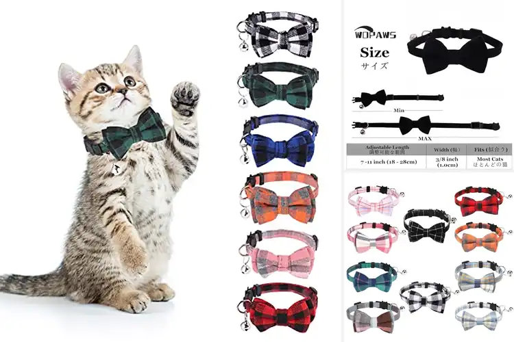 Detailed view of Best Cat Bow Ties