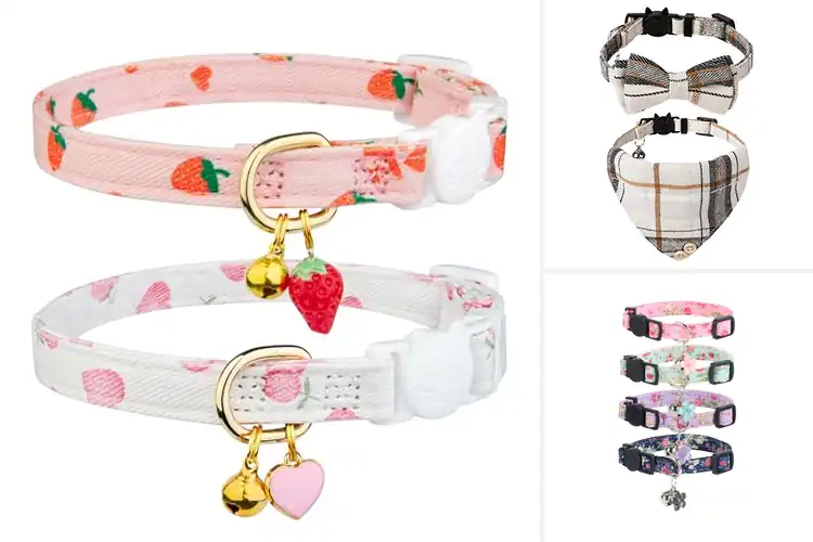 Detailed view of Best Cat Collar Accessories
