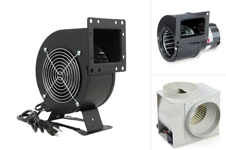 Detailed view of Best Centrifugal Blowers
