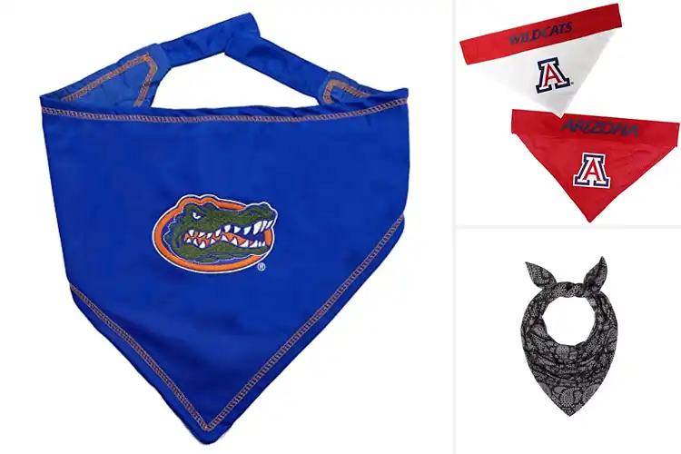 Detailed view of Best College Sports Bandana