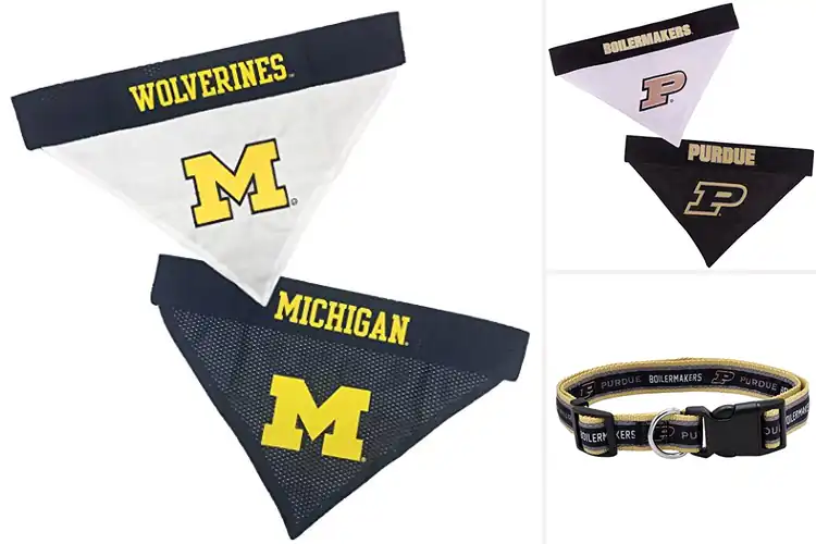 Detailed view of Best Collegiate Pet Accessories