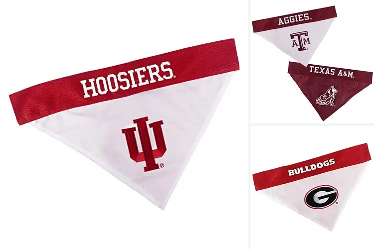Detailed view of Best Collegiate Pet Accessory