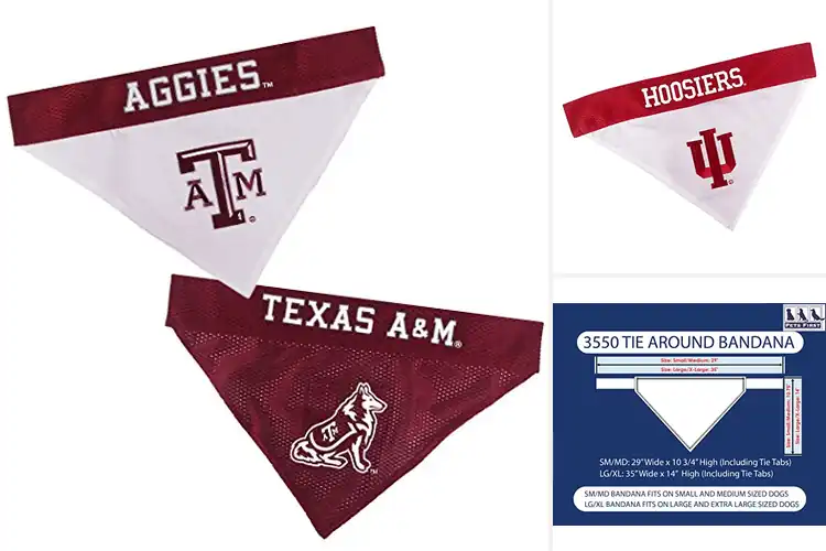 Detailed view of Best Collegiate Pet Bandanas