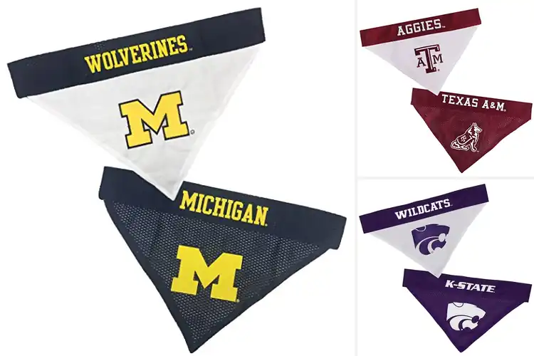 Detailed view of Best Collegiate Team Bandana
