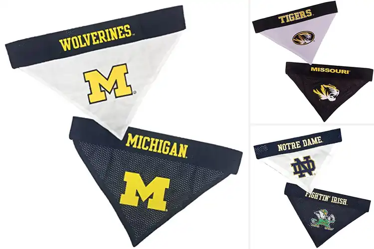 Detailed view of Best Collegiate Team Logo Bandana