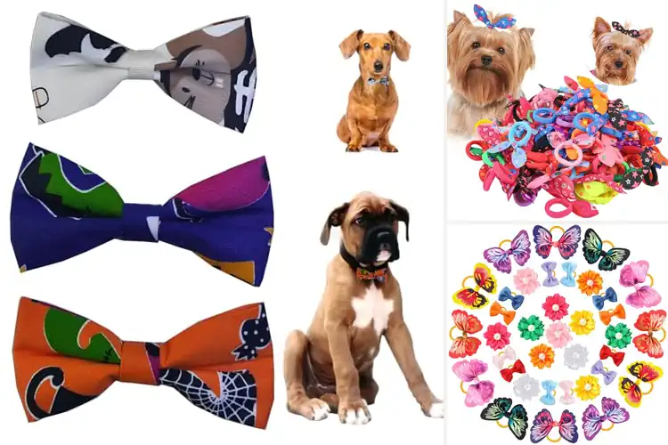 Detailed view of Best Colorful Bow Ties For Pets Pack