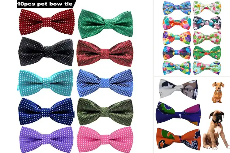 Detailed view of Best Colorful Bow Ties For Pets: 10 Adorable & Comfy Styles