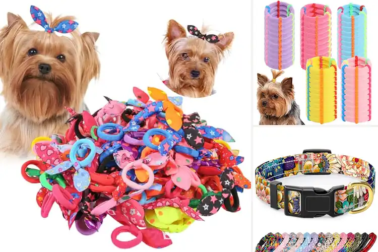 Detailed view of Best Colorful Pet Accessories