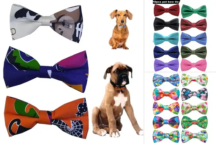 Detailed view of Best Colorful Pet Bow Ties