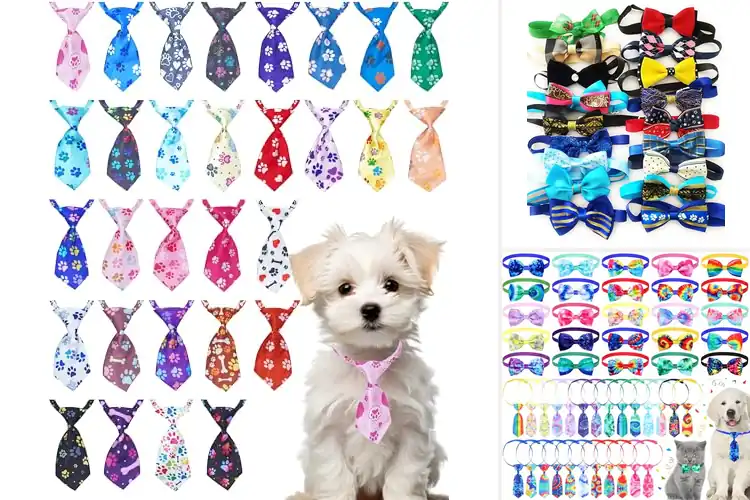 Detailed view of Best Colorful Pet Neckties