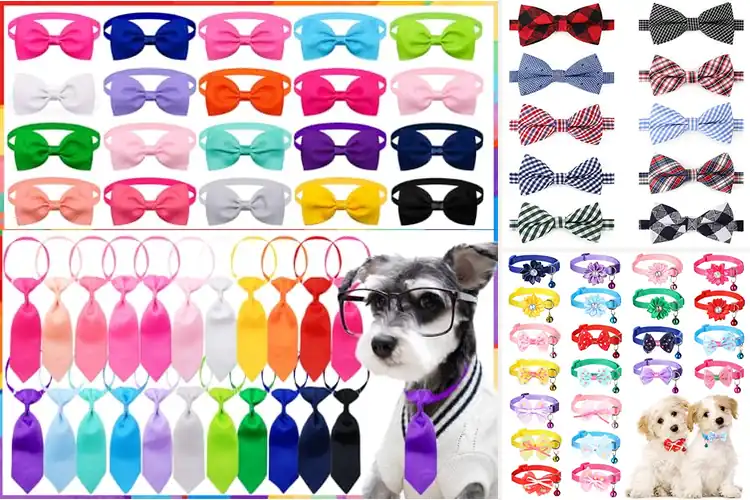 Detailed view of Best Colorful Puppy Bowties