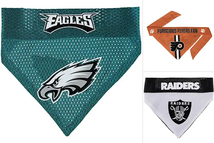 Detailed view of Best Colorful Team Logo Bandana: Pet Spirit in Style