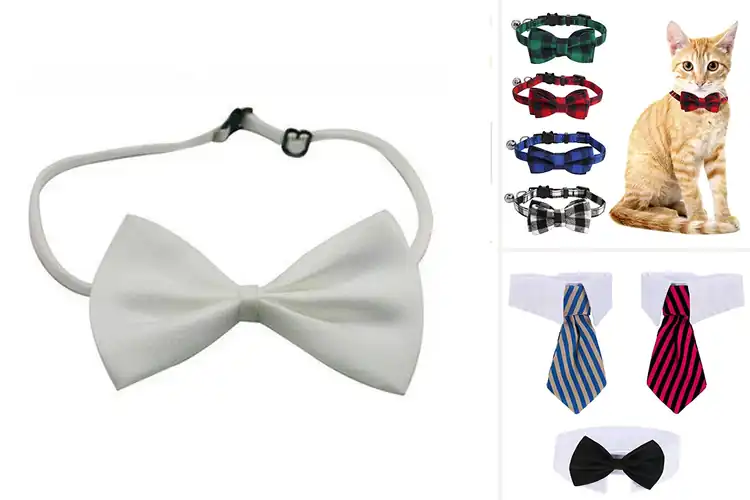 Detailed view of Best Cute Bow Tie For Pets