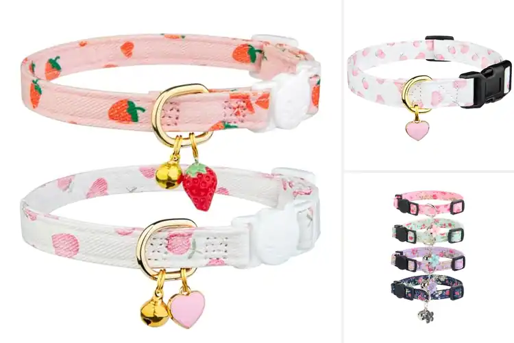 Detailed view of Best Cute Pet Collars: 10 Adorable Styles for Comfy Pets