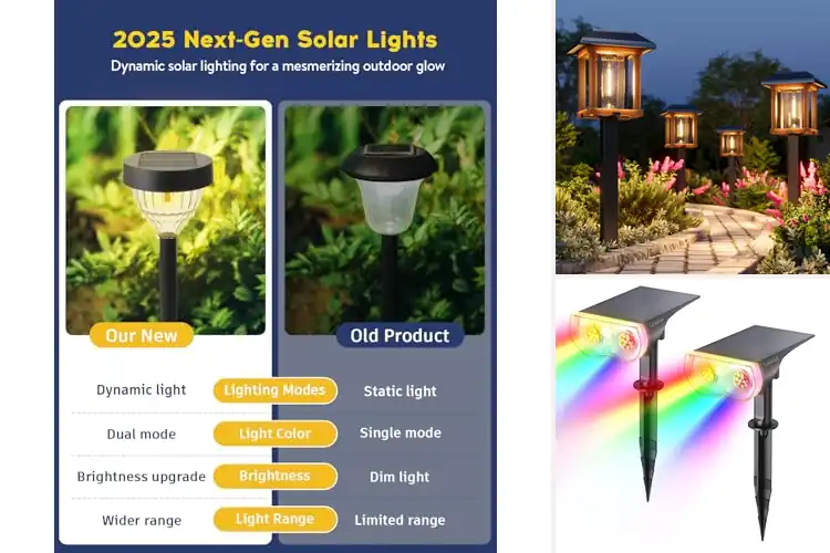 Detailed view of Best Dual Color Solar Lights