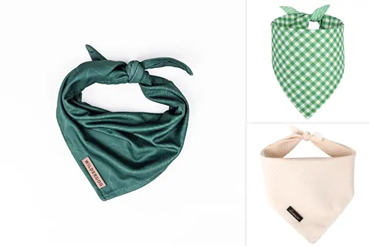 Detailed view of Best Durable Dog Bandanas