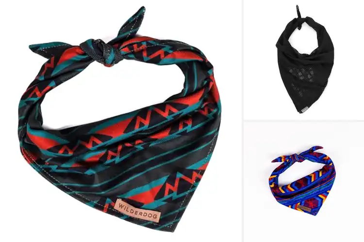 Detailed view of Best Durable Mesh Bandana