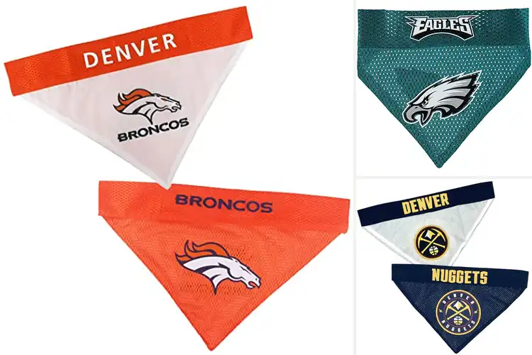 Detailed view of Best Embroidered Team Logo Bandana: Show Pet Spirit in Style