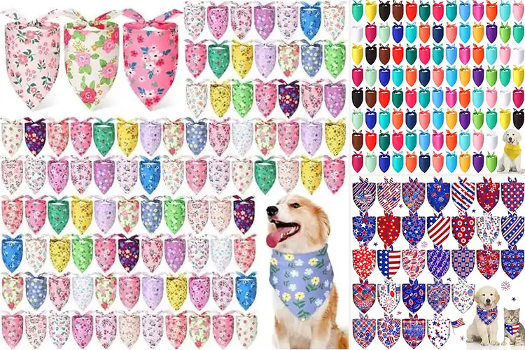 Detailed view of Best Event Pet Bandanas