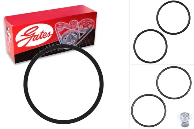 Detailed view of Best F-150 Thermostat Seals