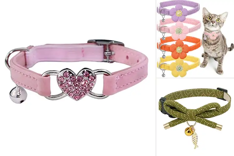 Detailed view of Best Fashion Cat Collars