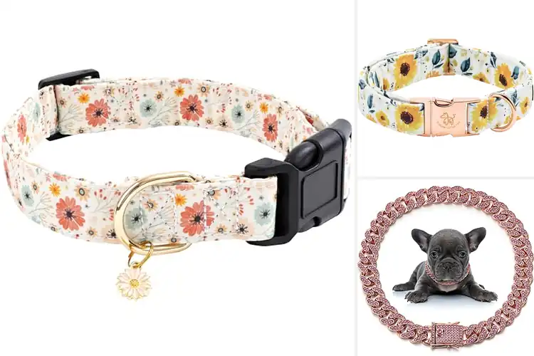 Detailed view of Best Fashion Dog Collars