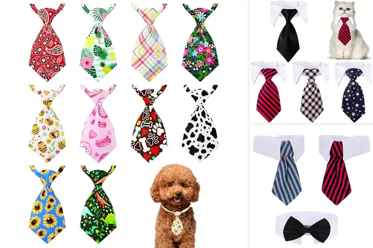 Detailed view of Best Fashion Pet Neckties