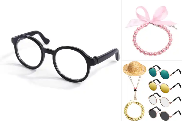 Detailed view of Best Fashionable Pet Accessories