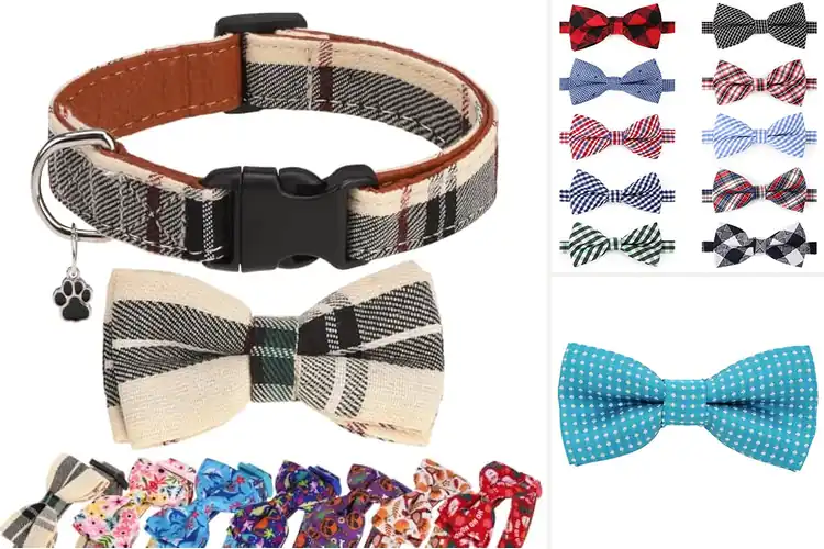 Detailed view of Best Fashionable Pet Bowties