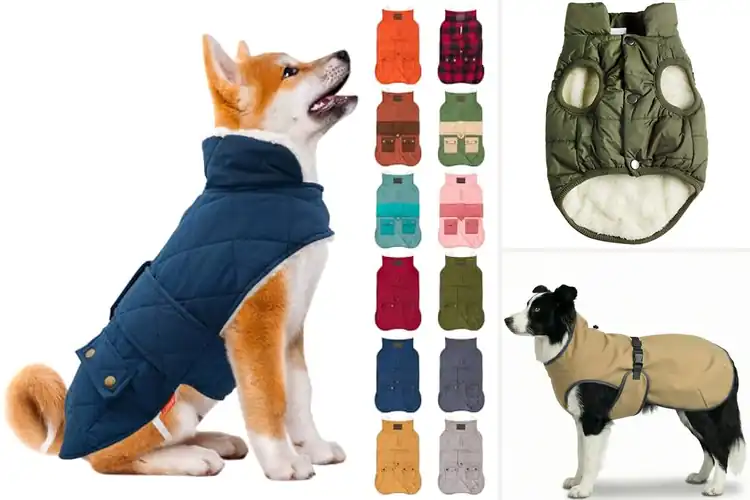 Detailed view of Best Fleece Lined Dog Jackets