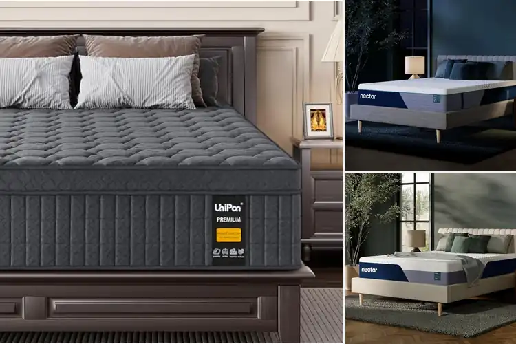 Detailed view of Best Forever Warranty Value