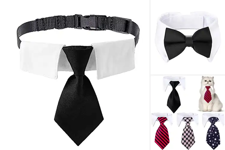 Detailed view of Best Formal Pet Neckties