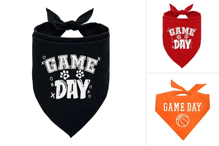 Detailed view of Best Game Day Bandanas